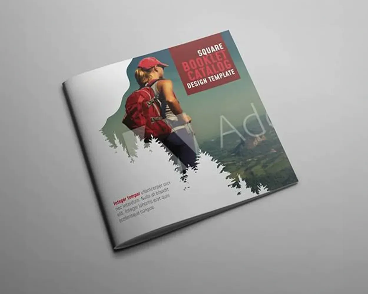 Brochures